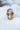 Netz
