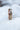 Netz