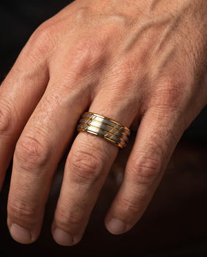 Euclid ring onhand