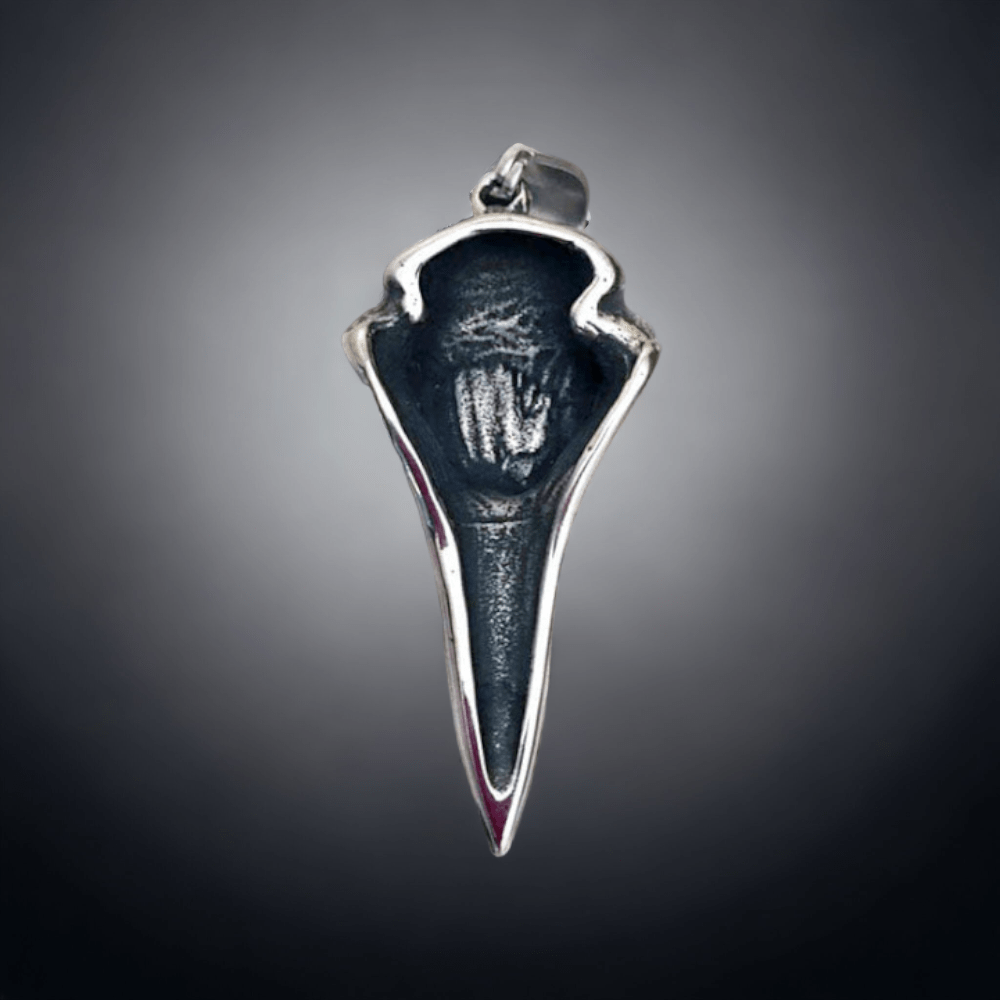 Viking Raven Skull & Vegvisir Symbol Stainless Steel Necklace
