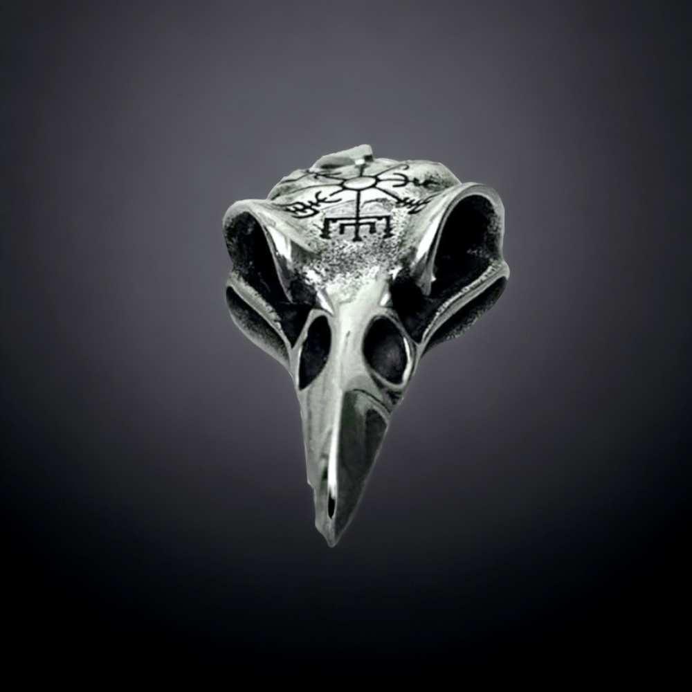 Viking Raven Skull & Vegvisir Symbol Stainless Steel Necklace